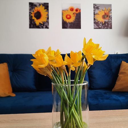 Apartament Baltycka Sardynka Ustka Eksteriør billede