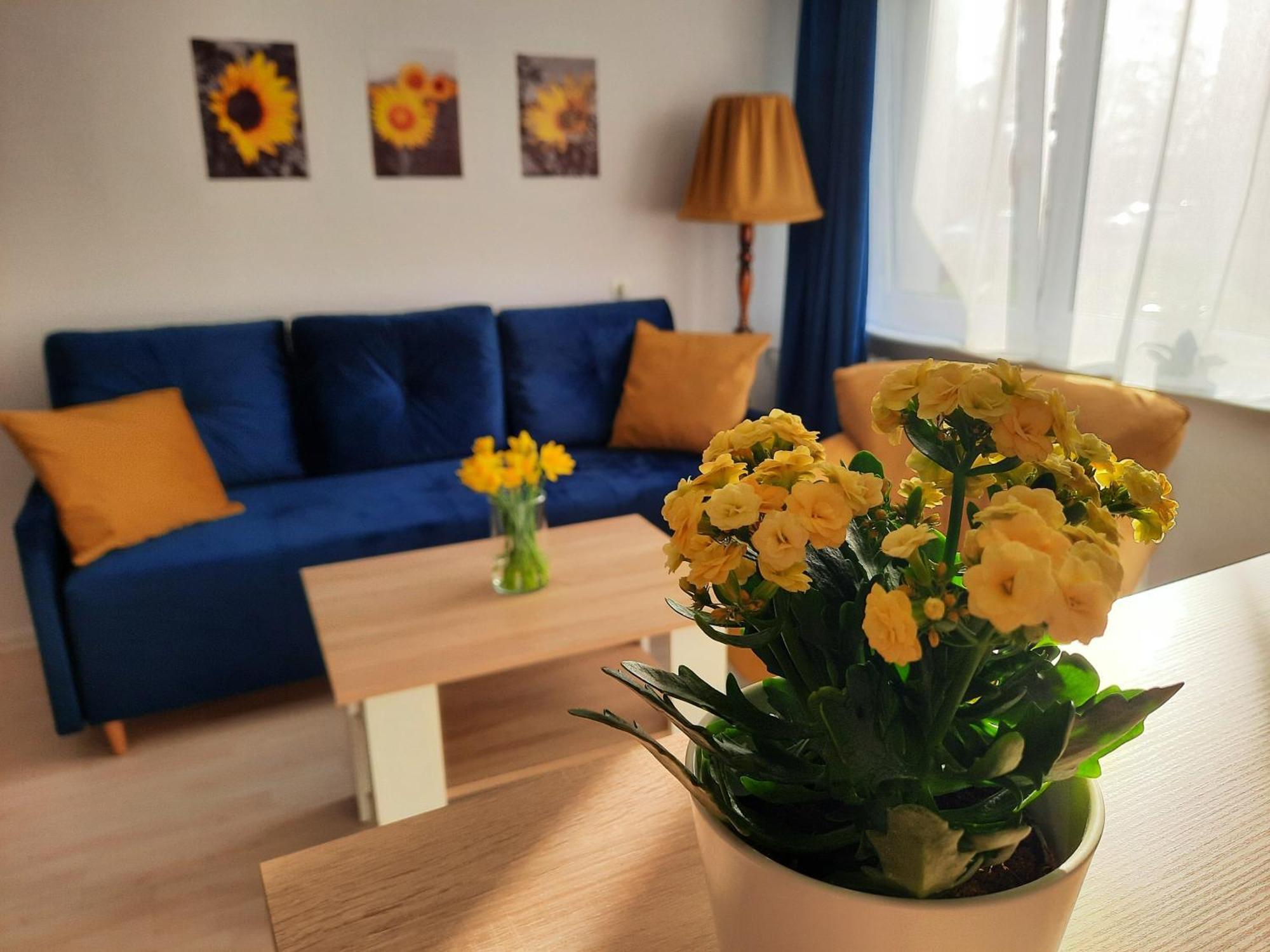 Apartament Baltycka Sardynka Ustka Eksteriør billede