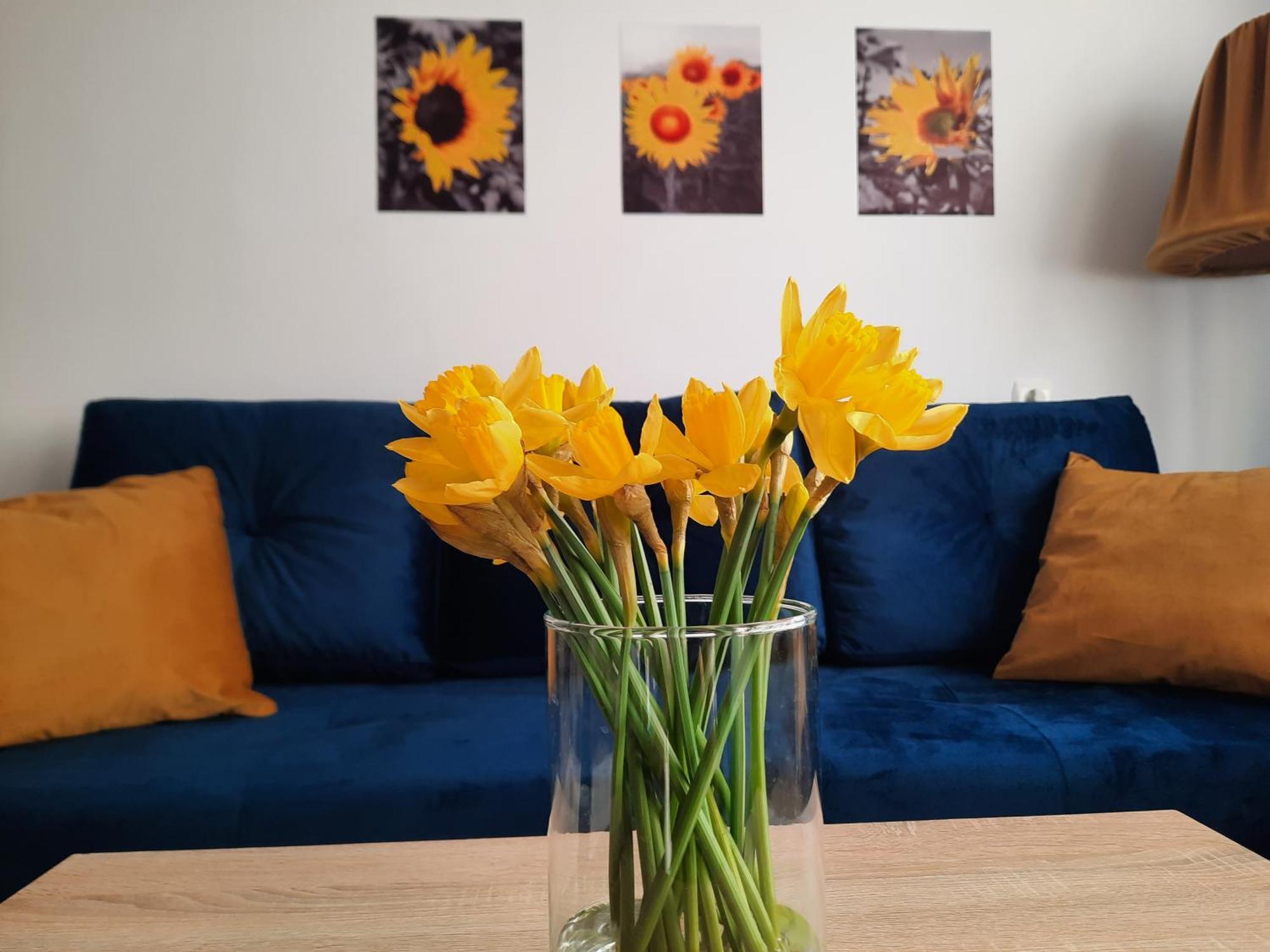 Apartament Baltycka Sardynka Ustka Eksteriør billede