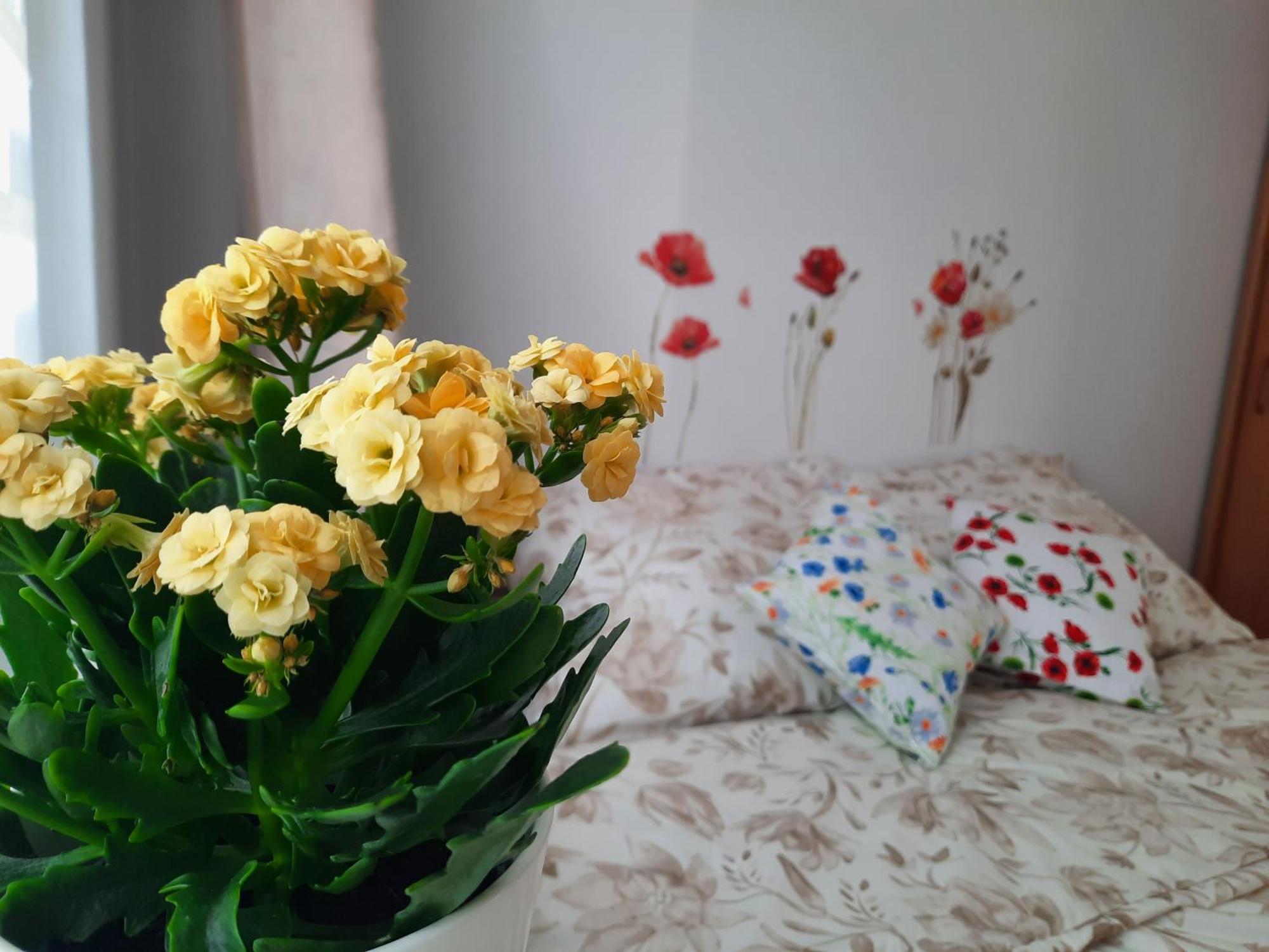 Apartament Baltycka Sardynka Ustka Eksteriør billede